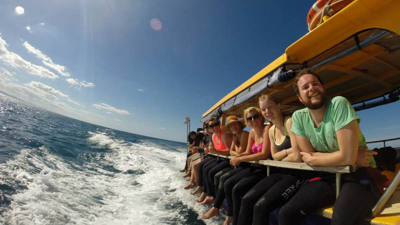 Join Orca Wild Adventures and swim with the dolphins on an incredible day cruise in the Bay of Plenty!